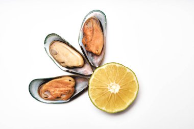 Midyeler beyaz arka planda bir dilim limon ve bir dal dereotu ile açılır.