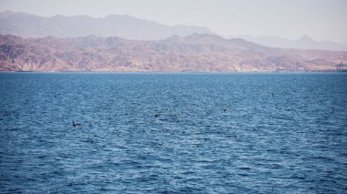Ürdün dağlarının kızıl deniz manzarasında tatiller