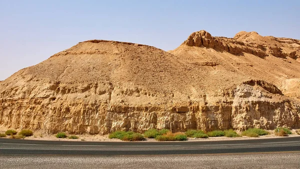 사막의 길에서 — 스톡 사진