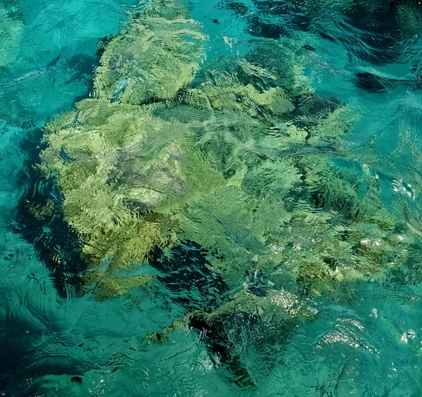 Бірюзовий Колір Морська Текстура Води Вид Зверху — стокове фото