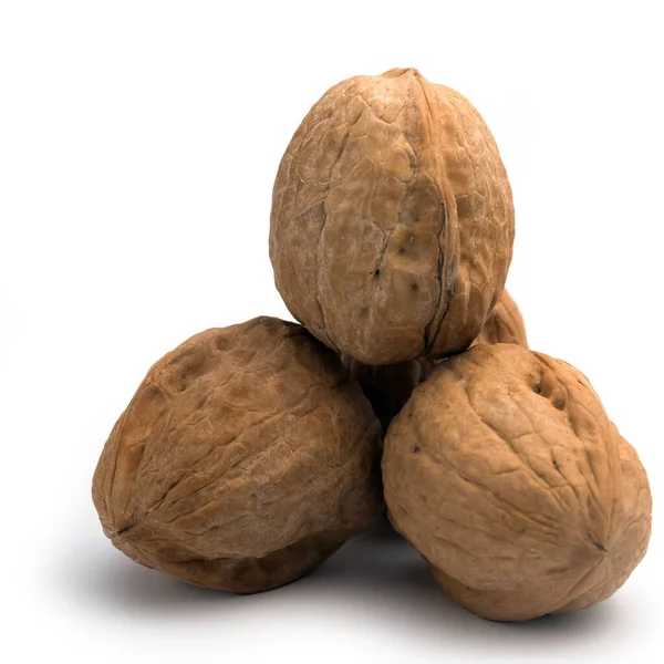 Walnut Photography White Background Close Isolate — Stock Photo, Image