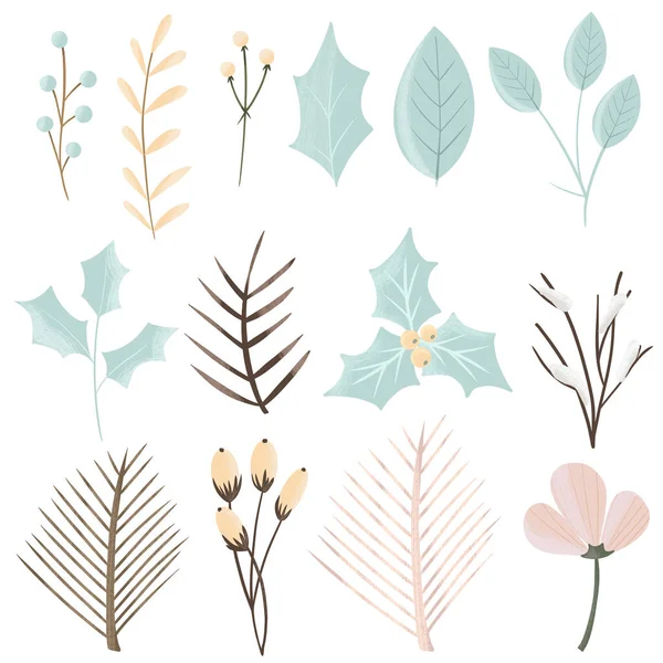 Zestaw Ręcznie Rysowanych Pastelowych Roślin Zimowych Pojedyncza Ilustracja Białym Tle — Zdjęcie stockowe