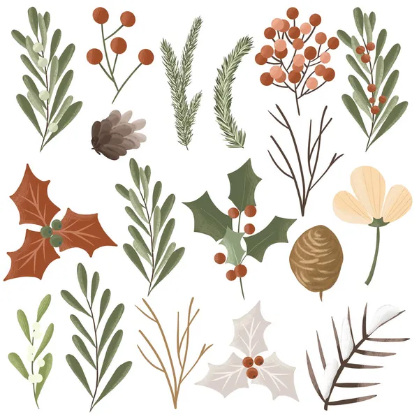 Zestaw Ręcznie Rysowanych Roślin Zimowych Pojedyncza Ilustracja Białym Tle — Zdjęcie stockowe
