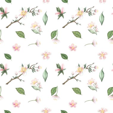 Bahar elma dallarının kusursuz deseni, çiçekler ve yapraklar, beyaz arka planda el çizimi.