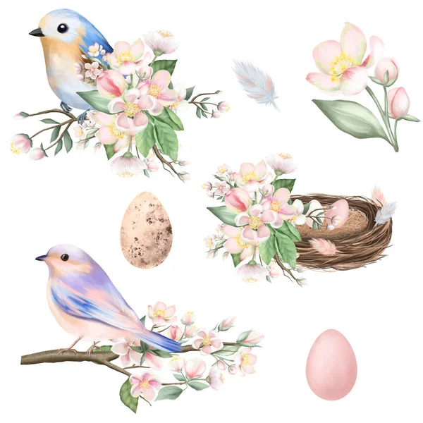 Zestaw Wiosennych Ptaków Gniazd Jaj Kwiatami Jabłoni Kompozycje Wielkanocne Ręcznie — Zdjęcie stockowe