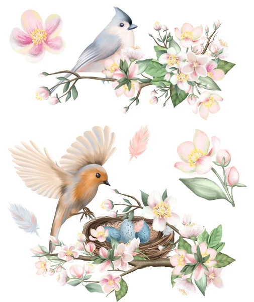 Sada Jarních Ptáků Hnízd Vajec Kvetoucích Jabloních Větvích Velikonoční Kompozice — Stock fotografie
