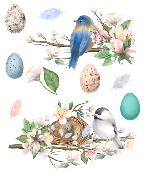 開花中のリンゴの木の枝に春鳥 卵のセット イースター構成 白い背景に孤立したイラストを手描き — ストック写真