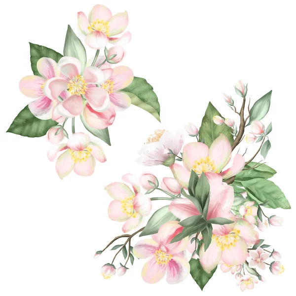 Sada Kvetoucích Jabloňových Kytic Ručně Kreslené Izolované Ilustrace Bílém Pozadí — Stock fotografie