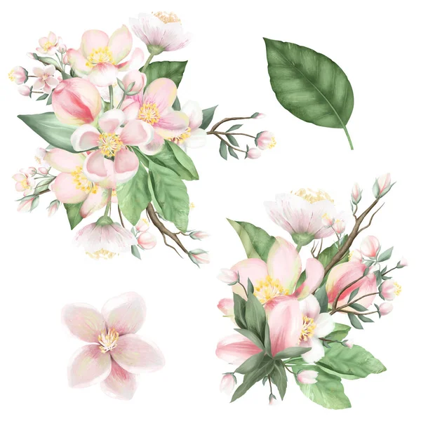 Sada Kvetoucích Jabloňových Kytic Ručně Kreslené Izolované Ilustrace Bílém Pozadí — Stock fotografie