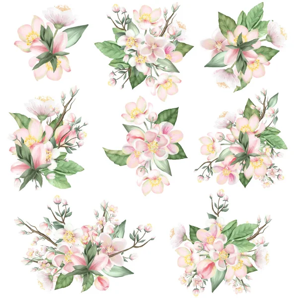 Set of spring blooming apple tree flower bouquets, hand drawn isolated illustration on white background