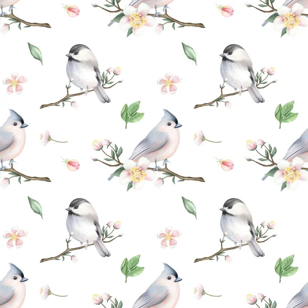 Patrón Sin Costuras Pájaros Lindos Las Ramas Manzano Primavera Ilustración —  Fotos de Stock