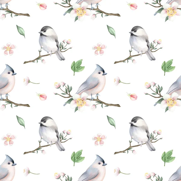 Seamless pattern of cute birds on the spring apple tree branches, hand drawn illustration on white background