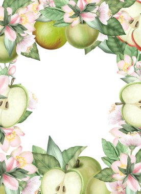 Kart şablonu, çiçek açan elma dalları, çiçekler ve beyaz arkaplanda yeşil elmalar
