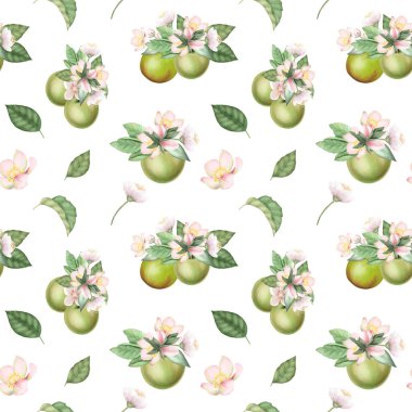 Elle çizilmiş yeşil elmalar, elma ağacı çiçekleri ve beyaz arka planda yapraklar.