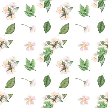 Bahar ağacı çiçeklerinin ve yapraklarının kusursuz deseni, beyaz arka planda el çizimi.