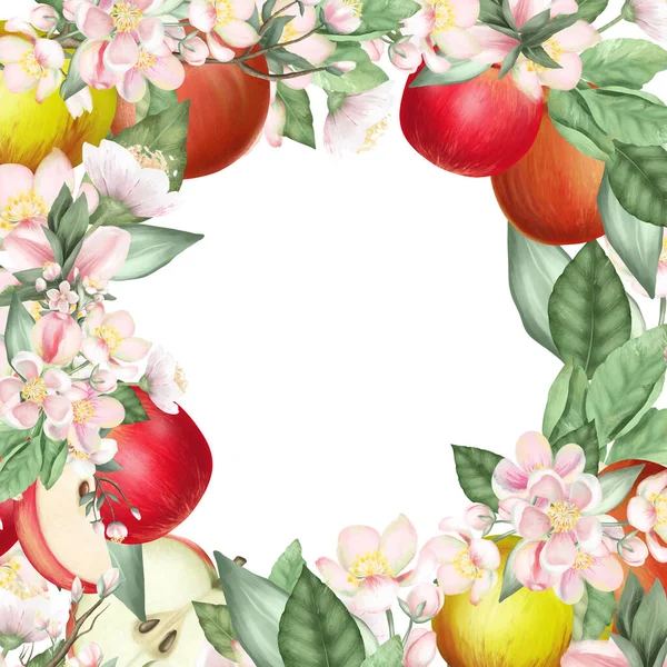 Карточка Шаблон Рамка Цветущих Ветвей Яблони Цветы Красные Яблоки Белом — стоковое фото