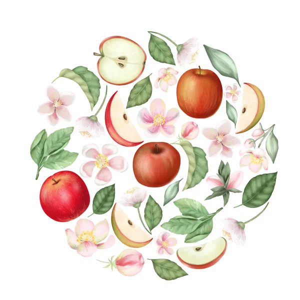 Okrągły Skład Ręcznie Rysowane Kwiaty Jabłoni Czerwone Jabłka Liście Izolowane — Zdjęcie stockowe
