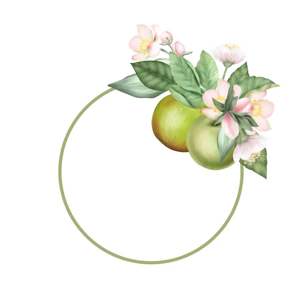 Круглая Рамка Яблони Цветы Зеленые Яблоки Белом Фоне — стоковое фото