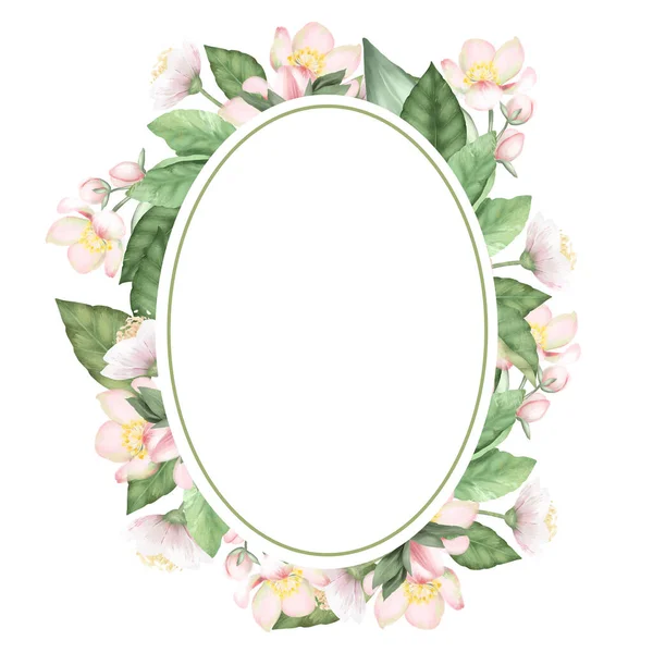 Oval Frame Hand Drawn Apple Tree Flowers Leaves White Background — Stock Photo, Image
