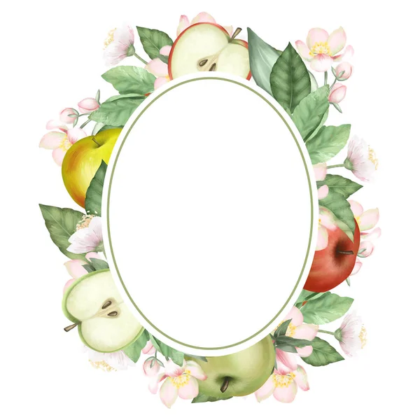 Oval Frame Hand Drawn Blooming Apple Tree Branches Flowers Apples — Stock Photo, Image