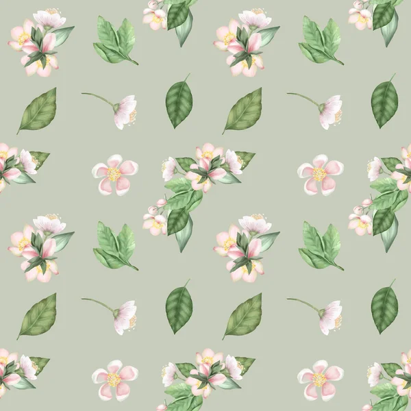 Zökkenőmentes Minta Tavaszi Alma Virágok Levelek Kézzel Rajzolt Illusztráció Zöld — Stock Fotó