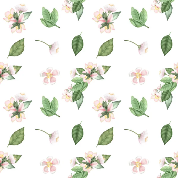 Seamless Pattern Spring Apple Tree Flowers Leaves Hand Drawn Illustration — Stock Photo, Image