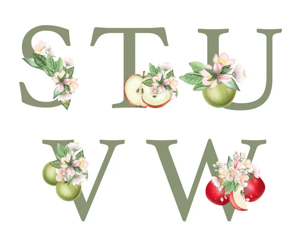 Zestaw Liter Kwiatowych Kwiatami Jabłoni Liśćmi Jabłkami Odosobniona Ilustracja Białym — Zdjęcie stockowe