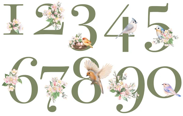 Sada Květinových Čísel Květy Jabloně Jarními Ptáky Ojedinělá Ilustrace Bílém — Stock fotografie