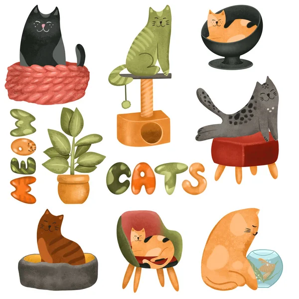Cute and funny colorful cats set, hand drawn isolated illustration on white background