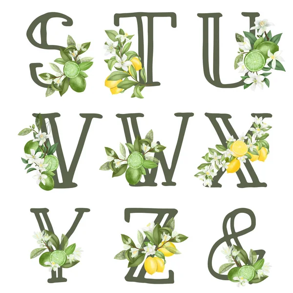 Satz Floraler Buchstaben Mit Zitronenblüten Blättern Und Zitronen Isolierte Abbildung — Stockfoto