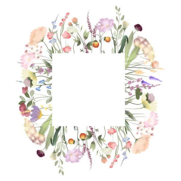 Frame Van Aquarel Wilde Bloemen Weidegrassen Illustraties Een Witte Achtergrond — Stockfoto