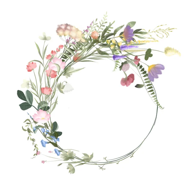 Okrągły Rama Akwarela Polne Kwiaty Łąka Trawy Ilustracje Białym Tle — Zdjęcie stockowe