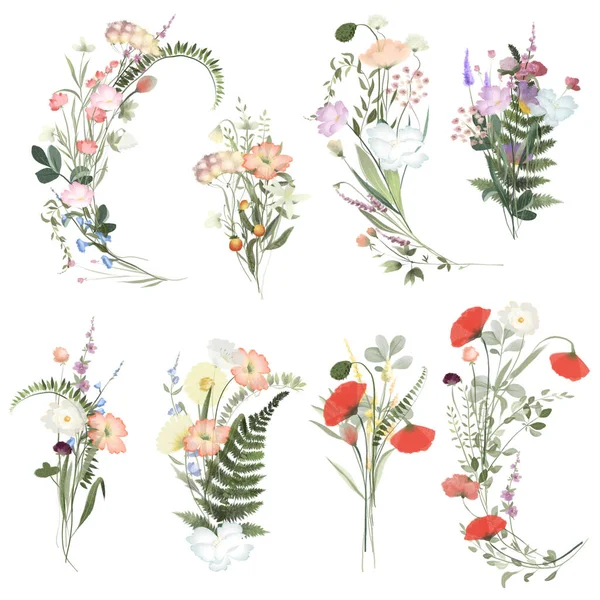 Set Watercolor Wildflower Bouquets Isolated Illustrations White Background — Zdjęcie stockowe