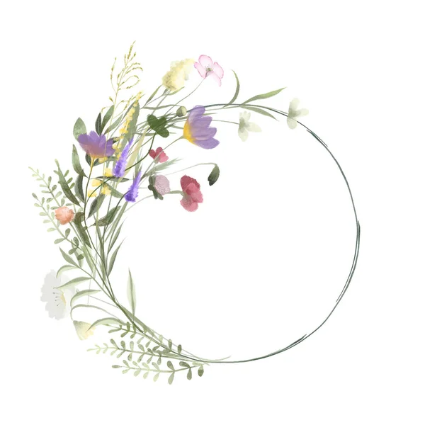 水彩斑斓的野花和草甸植物的圆形框架 白色背景上的插图 — 图库照片