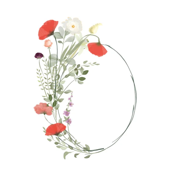 Oval Ram Akvarell Vallmo Och Ängsväxter Illustrationer Vit Bakgrund — Stockfoto