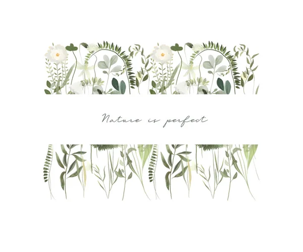 Cadre Verdure Aquarelle Plantes Forestières Illustrations Sur Fond Blanc — Photo