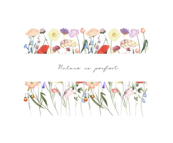 Rámeček Akvarelu Divokých Květin Ilustrace Bílém Pozadí — Stock fotografie