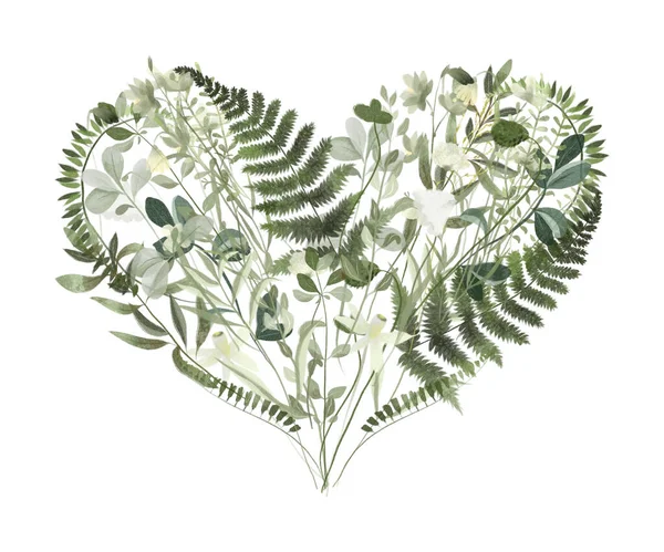 Watercolor Floral Heart Greenery Meadow Plants Isolated Illustration White Background — Zdjęcie stockowe