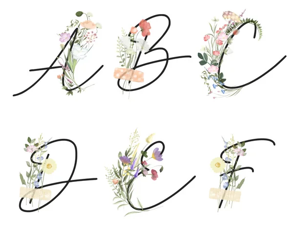 Set of floral letters A-F with wildflowers and meadow plants, isolated illustration on white background, for wedding monogram, greeting and business cards, logo