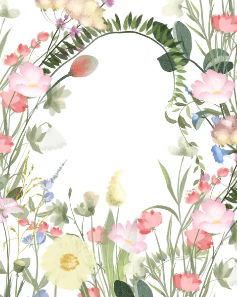 Floral Border Card Template Watercolor Wildflowers Meadow Plants Illustrations White — Fotografia de Stock