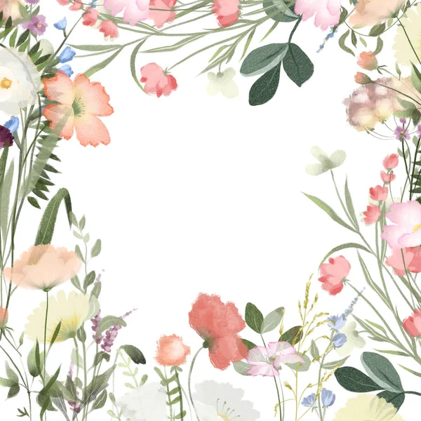 Virágkeret Határ Kártya Sablon Akvarell Vadvirágok Rét Növények Illusztrációk Fehér — Stock Fotó