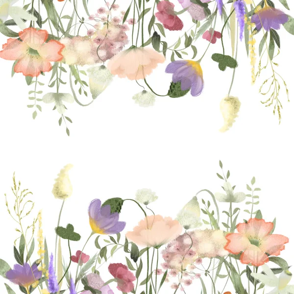 Floral Border Card Template Watercolor Wildflowers Meadow Plants Illustrations White — 스톡 사진