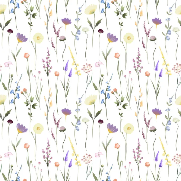 Seamless pattern of watercolor wildflowers, illustrations on a white background