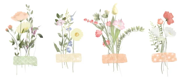 Set Watercolor Wildflower Bouquets Summer Herbarium Isolated Illustrations White Background — 스톡 사진