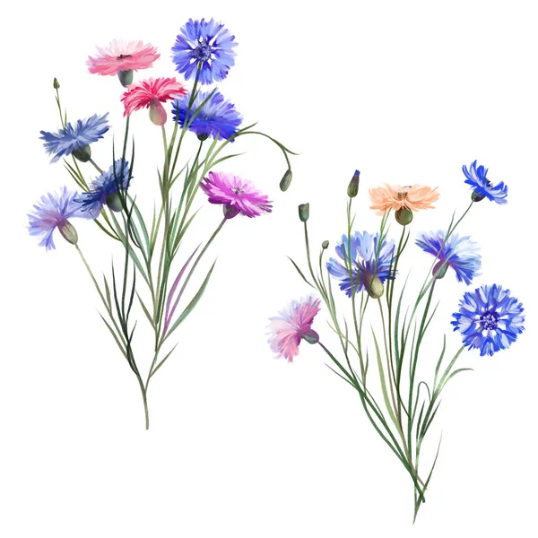 Bouquets Cornflowers Berwarna Warni Ilustrasi Terisolasi Pada Latar Belakang Putih — Stok Foto
