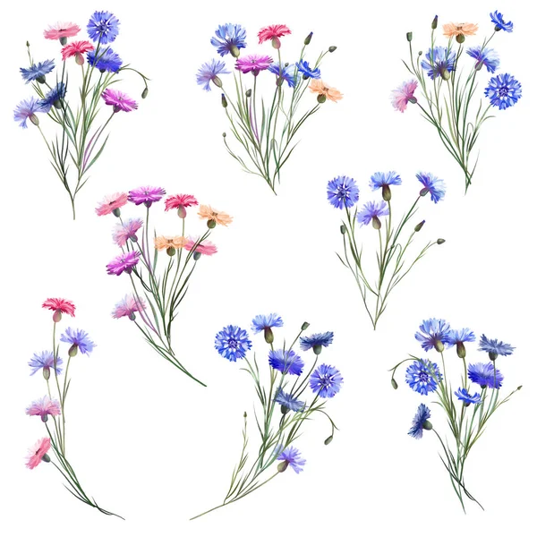 Bouquets Pink Purple Blue Cornflowers Wildflowers Clipart Isolated Illustration White — Stok Foto