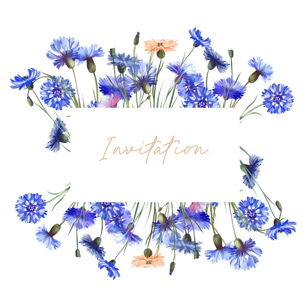 Frame Van Aquarel Blauwe Korenbloemen Illustraties Een Witte Achtergrond Uitnodiging — Stockfoto
