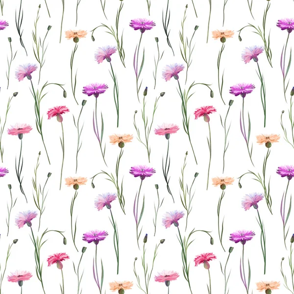 Naadloos Patroon Van Roze Paarse Korenbloemen Illustraties Een Witte Achtergrond — Stockfoto