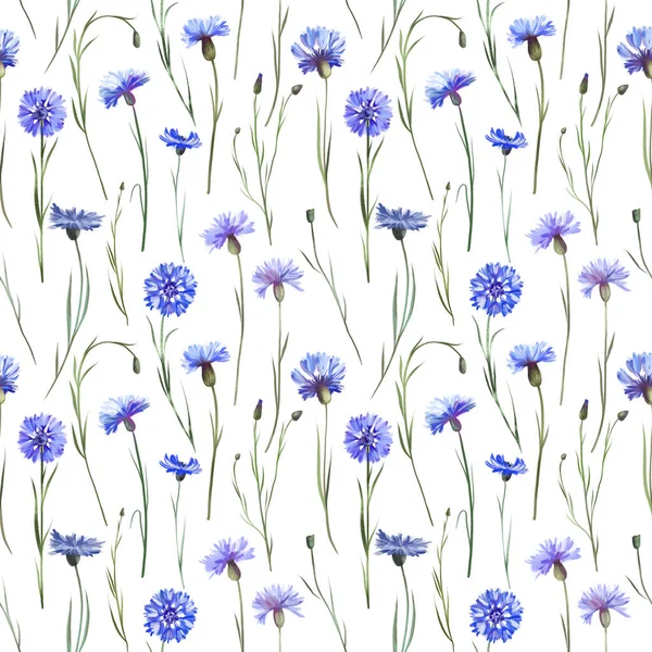 Seamless Pattern Watercolor Blue Cornflowers Illustrations White Background — Stockfoto