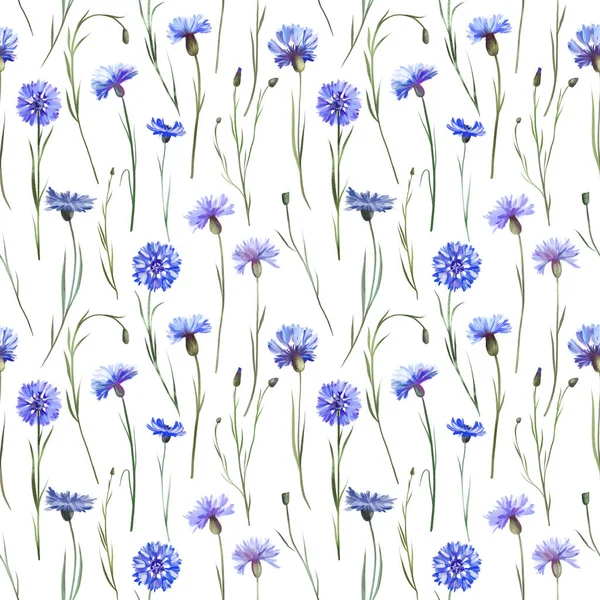 Seamless pattern of watercolor blue cornflowers, illustrations on a white background